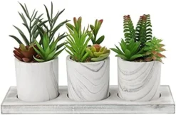 Briful Succulents Plants Artificial In Marble Pot Set Of 3 Small Fake Succulents Plants Faux Succulents With Wood Tray For Table Shelf Office Home Decorations 16 Briful Succulents Plants Artificial In Marble Pot Set Of 3 Small Fake Succulents Plants Faux Succulents With Wood Tray For Table Shelf Office Home Decorations -Nearly Natural Store 41rE4f6UEpS. AC