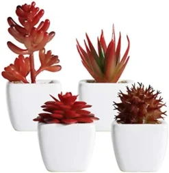Tiita Artificial Faux Succulents In Pots Fake Plants Ceramic Arrangement Planter Small Mini Tiny Decoration For Home Office Desk Window Sill Bathroom Bedroom Outdoor Indoor 4 Set -Nearly Natural Store 41rYyT6nkdL. AC