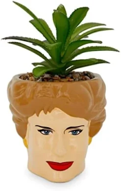 Silver Buffalo The Golden Girls Sophia Face Mini Ceramic Planter Decor | Official TV Show Collectible | Small Flower Pot For Indoor Plants, Includes Artificial Succulent | 3 Inches -Nearly Natural Store 41rkBULOAzL. AC