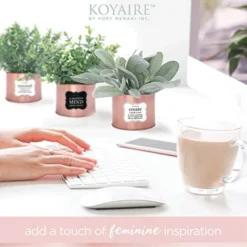 KOYAIRE Motivational Desk Plant Set Of 3 - Rose Gold Desk Accessories For Women Office - Rose Gold Decor And Home Office Accessories - Small Fake Plants - Desk Decorations For Women Office Decor -Nearly Natural Store 41rrJUltVML