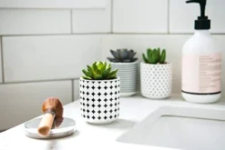 Dipiti Artificial Succulent Plants In Pots-Set Of 3|Black And White Ceramic Planters|Faux Plants Indoor & Outdoor|Gifts For Women|Kitchen Office Bathroom Desk Bedroom Shelf Decor|Potted Fake Plants -Nearly Natural Store 41sOuNQJbfL