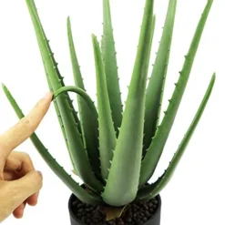 Beebel Artificial Succulent Fake Aloe For Bathroom Home Office Decor,Faux Succulent Plant With Black Plastic Planter,Artificial Potted Plant For House Decor (Aloe Succulent/13 Leaf) -Nearly Natural Store 41tWwqFOZvL