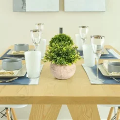 Velener 2Pcs Mini Artificial Boxwood Topiary Faux Plants Indoor- Small Fake Plants Decor Magnolia Home Office Desk Cubicle Farmhouse Kitchen Bookshelf Bedroom Bathroom Decor, Aloe Vera Zen Garden -Nearly Natural Store 41ty3C8CTvL