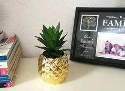 Golden Pineapple Ananas Potted Artificial Succulents Faux Plants Home Office Tabletop Decoration (Gold) -Nearly Natural Store 41uN1Cwa9KL