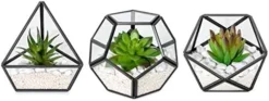 Mkono Artificial Succulent In 3 Pack Mini Glass Geometric Terrarium, Miniature Potted Faux Plant Bookshelf Desk Boho Office Room Decor For Women Girls Dorm Gift Idea, Black -Nearly Natural Store 41utwzXCaL. AC 1