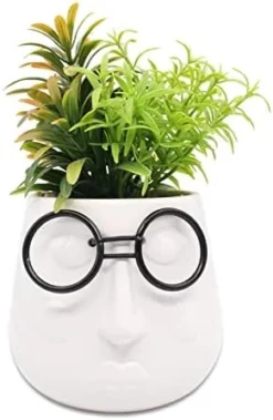 ALIWINER Artificial Succulents Plants With Ceramic Pot Decor Figurines Living Room Decor Home Decoration -Nearly Natural Store 41v0HzPbZ5L. AC