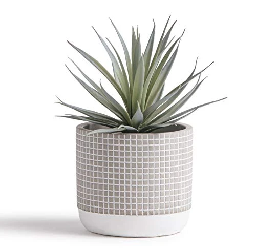 Kurrajong Farmhouse Faux Plant In Pot - 8" X 4.5" | Beautiful Faux Succulent Plant Decor | Artificial Succulent Plants | Faux Plants Indoors 1 Kurrajong Farmhouse Faux Plant In Pot - 8" X 4.5" | Beautiful Faux Succulent Plant Decor | Artificial Succulent Plants | Faux Plants Indoors