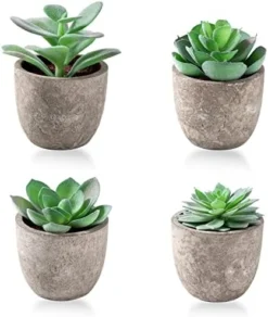 Jelofly Fake Plants Artificial Succulent Plants Assorted Decorative Faux Succulent Potted Fake Cactus Cacti Plants Gray Pots, Set Of 5 -Nearly Natural Store 41vIiFQKgL. AC