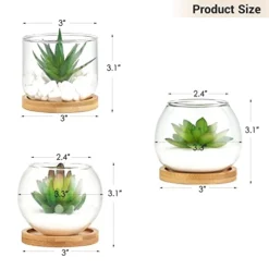 Mkono Artificial Succulent In Clear Glass Pot, Set Of 3 Mini Potted Fake Plants For Women Office Decor Small Faux Green Plant With BambooTray For Bookshelf Bathroom Kitchen Decor Tabletop Centerpiece 6 Mkono Artificial Succulent In Clear Glass Pot, Set Of 3 Mini Potted Fake Plants For Women Office Decor Small Faux Green Plant With BambooTray For Bookshelf Bathroom Kitchen Decor Tabletop Centerpiece -Nearly Natural Store 41vIsgCw2mL