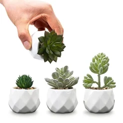 MyGift Set Of 4 Mini Assorted Artificial Succulent Fake Plants In Modern White Textured Ceramic Plant Pots -Nearly Natural Store 41veQ5AsDXS