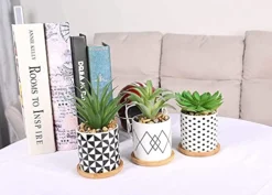 Letinaner Artificial Succulent Plants Fake Pineapple In Pots Artificial Faux Plants Greenery Decorations For Hotel Restaurant Home Office Kitchen Table, Set Of 3 -Nearly Natural Store 41ynn9NMC8L