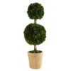 2.5ft. Preserved Boxwood Double Ball Topiary Tree In Decorative Planter (T1001)