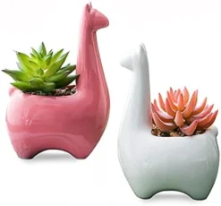 Tenforie Artificial Plant Pots, Ceramic Potted Artificial Succulent Decoration Alpaca Fake Plant Home Decor Tabletop Office Desk Outdoor Decoration - A -Nearly Natural Store 41z9tI7qDNS. AC