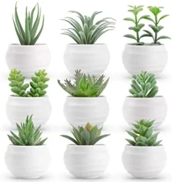 Der Rose 6 Packs Fake Succulents Plants Small Realistic Succulents Plants Artificial For Home Room Decor Indoor -Nearly Natural Store 41zHdc1LyOL. AC