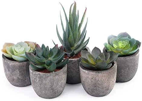 Iuuidu Artificial Potted Plant, Faux Succulent In Pot Emotional Cement Potted Plant Animated Artificial Succulents Decor For Home Living Room Bedroom And Office(Shy) 11 Iuuidu Artificial Potted Plant, Faux Succulent In Pot Emotional Cement Potted Plant Animated Artificial Succulents Decor For Home Living Room Bedroom And Office(Shy) - Image 11