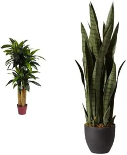 Nearly Natural, Green 4855 35in. Sansevieria With Black Planter -Nearly Natural Store 41znRl3ySUL. AC