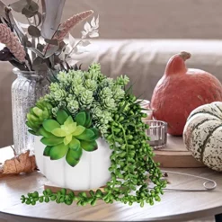 White Fall Pumpkin Centerpiece Artificial Succulent Pumpkin Arrangement With Assorted String Of Pearls Succulents For Fall Thanksgiving Gifts Home Wedding Table Mantel Windowsill Shelf Decor -Nearly Natural Store 5102H7imAPL