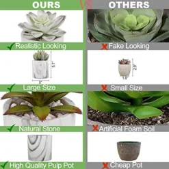 C APPOK Artificial Succulents Plants Faux Succulent Flocking Potted Plants - 4 Pack Fake Succulents Decorative Green Potted Plant In Pots For Home, Desk Decor, Office Decoration 9 C APPOK Artificial Succulents Plants Faux Succulent Flocking Potted Plants - 4 Pack Fake Succulents Decorative Green Potted Plant In Pots For Home, Desk Decor, Office Decoration -Nearly Natural Store 510QMqqWnOL
