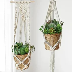 Winlyn 20 Pcs Assorted Artificial Succulents Plants Unpotted Small Green Cactus Echeveria Air Plant Picks Fake Succulents Bulk For Succulent Garden Wreath Floral Arrangement Indoor Outdoor Home Decor -Nearly Natural Store 510jRm93X1L