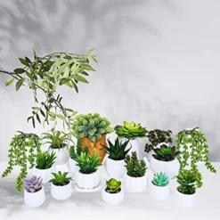 Winlyn 19 Pcs Assorted Artificial Succulents Plants Unpotted Small Green Hanging Succulent Aloe Fake Cacti Succulents Bulk For Succulent Garden Centerpiece Wreath Arrangement Indoor Outdoor Home Decor -Nearly Natural Store 510o7UIZbyL