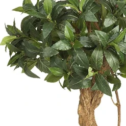 Nearly Natural 5233 Sweet Bay Double Ball Topiary Silk Tree, 4-Feet, Green,49.5" X 9" X 9" -Nearly Natural Store 510xbJQjNDL