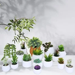 Winlyn 16 Pcs Artificial Succulents Plants Unpotted Small Hanging String Of Pearls Aloe Hops Cactus Green Fake Succulents For Succulent Garden Arrangement Centerpiece Wall Indoor Outdoor Home Decor -Nearly Natural Store 5111qIh9ZZL