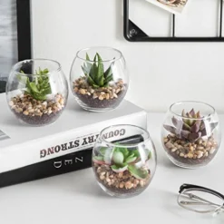 MyGift Assorted Artificial Succulent Fake Plant In Small Clear Glass Display Vases, Set Of 4 -Nearly Natural Store 511VsfE2rFL