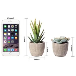 Jelofly Fake Plants Artificial Succulent Plants Assorted Decorative Faux Succulent Potted Fake Cactus Cacti Plants Gray Pots, Set Of 5 -Nearly Natural Store 511YsNpCCDL