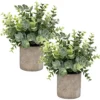Flojery Mini Potted Plants Artificial Eucalyptus Boxwood Rosemary Greenery In Pots Faux Potted Herbs Small House Plants 8.3"-9" Tall For Indoor Greenery Tabletop Décor Centerpiece (Sprayed Eucalyptus)