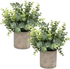 Flojery Mini Potted Plants Artificial Eucalyptus Boxwood Rosemary Greenery In Pots Faux Potted Herbs Small House Plants 8.3"-9" Tall For Indoor Greenery Tabletop Décor Centerpiece (Sprayed Eucalyptus) -Nearly Natural Store 5121HPyekYL. AC