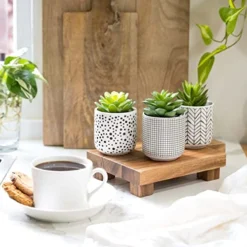 Kurrajong Farmhouse Artificial Succulents In Pots | Set Of 3 Black And White Ceramic Pots With Green Succulents Artificial | Faux Plants Indoor Fake Plants In Pots 4.75" High 9 Kurrajong Farmhouse Artificial Succulents In Pots | Set Of 3 Black And White Ceramic Pots With Green Succulents Artificial | Faux Plants Indoor Fake Plants In Pots 4.75" High -Nearly Natural Store 512czhT5I3L