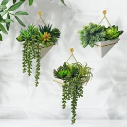 Winlyn 15 Pcs Artificial Succulents Unpotted Bulk Small Faux Succulent Plants Hanging Succulents Hops Aloe For Succulent Garden Wreath Floral Arrangement Indoor Outdoor Green Decor -Nearly Natural Store 514oU5zZ4SL