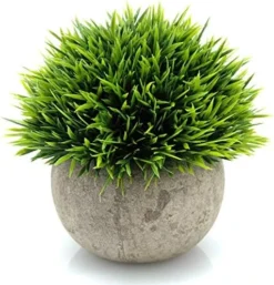 Velener 2Pcs Mini Artificial Boxwood Topiary Faux Plants Indoor- Small Fake Plants Decor Magnolia Home Office Desk Cubicle Farmhouse Kitchen Bookshelf Bedroom Bathroom Decor, Aloe Vera Zen Garden -Nearly Natural Store 5150xzjkM4L. AC