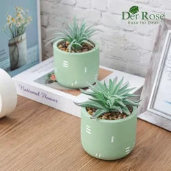 Der Rose 2 Packs Fake Plants Succulents Plants Artificial For Living Room Bedroom Aesthetic Decor -Nearly Natural Store 515N2szYw8L