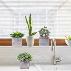 Set Of 3 Assorted Small Potted Succulents Plants Decorations Green Fake Succulents Cacti In Rustic Wooden Pots For Home Living Room Bathroom Table Centerpiece Windowsill Shelf Office Desk Indoor Decor -Nearly Natural Store 5175hf1faLL