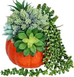 White Fall Pumpkin Centerpiece Artificial Succulent Pumpkin Arrangement With Assorted String Of Pearls Succulents For Fall Thanksgiving Gifts Home Wedding Table Mantel Windowsill Shelf Decor -Nearly Natural Store 5191oadj0gL. AC
