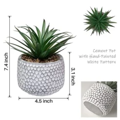 CADNLY Small Fake Plants In Pot - Artificial Succulents Plant For Desk - Small Faux Plants Indoor Modern Farmhouse Plants Artificial Decor – Potted Small Plants Decor For Bedroom Bathroom Office Shelf 6 CADNLY Small Fake Plants In Pot - Artificial Succulents Plant For Desk - Small Faux Plants Indoor Modern Farmhouse Plants Artificial Decor – Potted Small Plants Decor For Bedroom Bathroom Office Shelf -Nearly Natural Store 519zLmeATIL