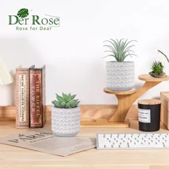 Der Rose 2 Packs Fake Plants Artificial Succulents Plants In Pots For Home Boho Decor Indoor -Nearly Natural Store 51AUVSVg6qL