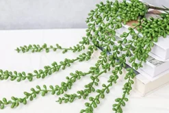 Meiliy 4pcs Artificial Succulent Plants Hanging Succulent Plants Faux Succulents Unpotted Branch String Of Pearls Plant For Home Kitchen Office Wedding Garden Craft Art Decor(28 Inches Each Length) -Nearly Natural Store 51BBgVyM53L