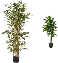 Nearly Natural 5253 Bamboo Silk Tree, 64-Inch, Green -Nearly Natural Store 51BDjIUucGL. AC