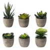 Sophia's Garden Small Artificial Succulents Plants Artificial Potted Fake Plant Decor Bedroom (6 Piece Faux Succulents In Pots 2.3") Fake Succulent Decor Fake Succulents Mini Succulents Desk Office