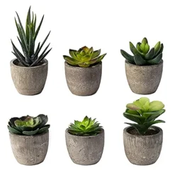 Sophia's Garden Small Artificial Succulents Plants Artificial Potted Fake Plant Decor Bedroom (6 Piece Faux Succulents In Pots 2.3") Fake Succulent Decor Fake Succulents Mini Succulents Desk Office