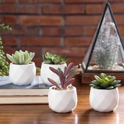 MyGift Miniature Artificial Succulents, Indoor Fake House Plants In Round White Geometric Ceramic Pots, Set Of 4 -Nearly Natural Store 51FCuM0QIoL