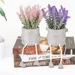 Natheeph 2 Pcs Succulents Plants Artificial Fake Plant Faux Succulents Hanging Leg With Cement Potted For Home Office Desk Bedroom Bookshelf Greenery Decoration (Smile & Bear) -Nearly Natural Store 51FFo6pTxXL. AC