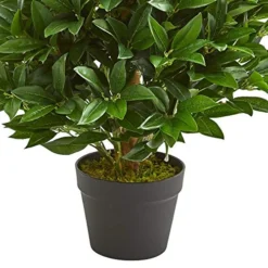 Nearly Natural 3-Ft. Bay Leaf Artificial Topiary UV Resistant (Indoor/Outdoor) Silk Trees Green -Nearly Natural Store 51FawSw8UlL