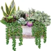 14 Pcs Assorted Artificial Succulents Fake Plants In Rectangular Wooden Pots Artificial Potted Succulents Plants Arrangement For Table Centerpiece Windowsill Shelf Mantel Tropical Greenery Decor