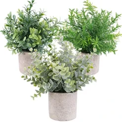 OUTLEE 3 Pack Mini Artificial Potted Plants Faux Eucalyptus Plants Boxwood Rosemary Greenery In Pots Small Houseplants For Home Decor Office Desk Shower Room Decoration