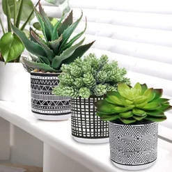 Winlyn Set Of 3 Assorted Small Potted Succulents Arrangement Artificial Succulent Plants In Black And White Geometric Pots For Table Centerpiece Windowsill Shelf Indoor Outdoor Garden Greenery Decor -Nearly Natural Store 51G4beLwOXL