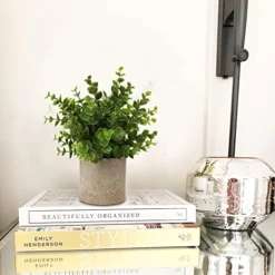 Briful Artificial Potted Plants Set Of 3 Small Faux Plant Eucalyptus Mini Fake Plant Decor For Home Table Office Room Desk Bathroom Shelf Kitchen Rustic Farmhouse Mantel Decoration -Nearly Natural Store 51GE9VJrucL