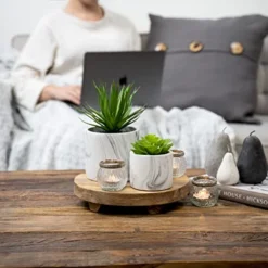 Kurrajong Farmhouse - Marble Pattern Pot With Faux Succulent Plant - 8" High - Artificial Plant - Potted Plant - Succulent Plants Artificial - Fake Succulent - Faux Plant Pot -Nearly Natural Store 51GFYum76FL